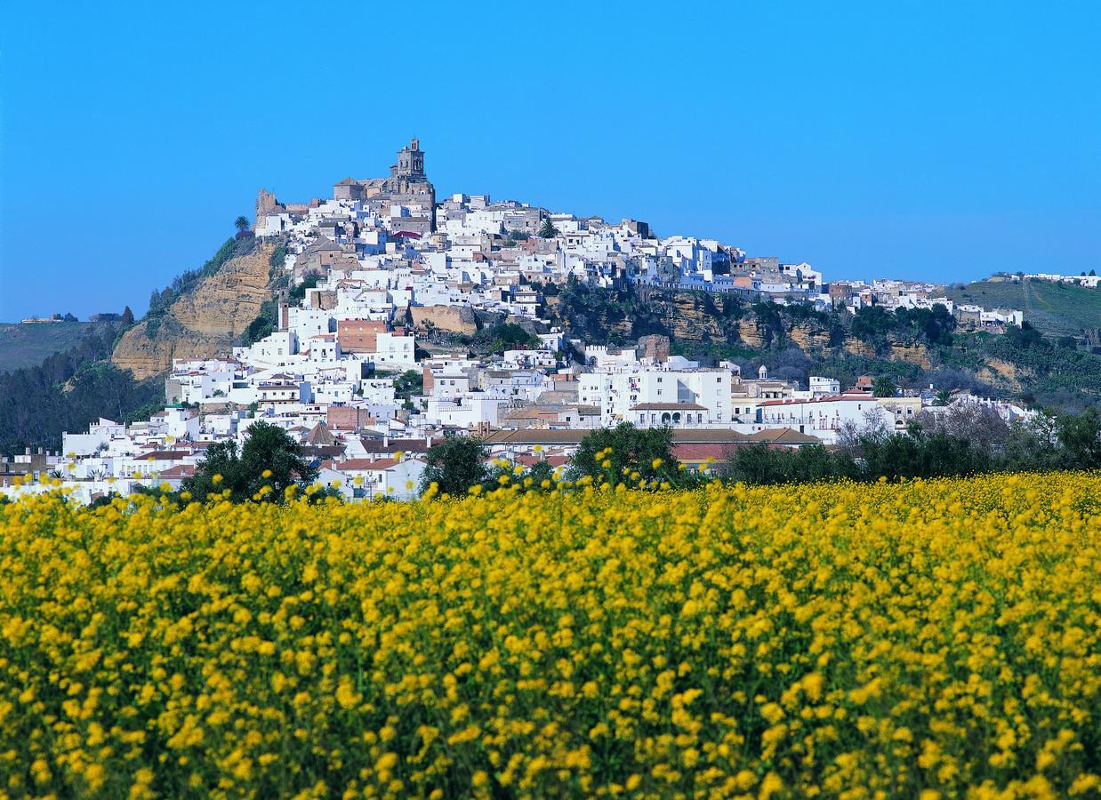 Arcos Gardens Sol Rent Golf Villa Arcos de la Frontera Eksteriør billede